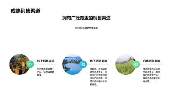 林下经济探析