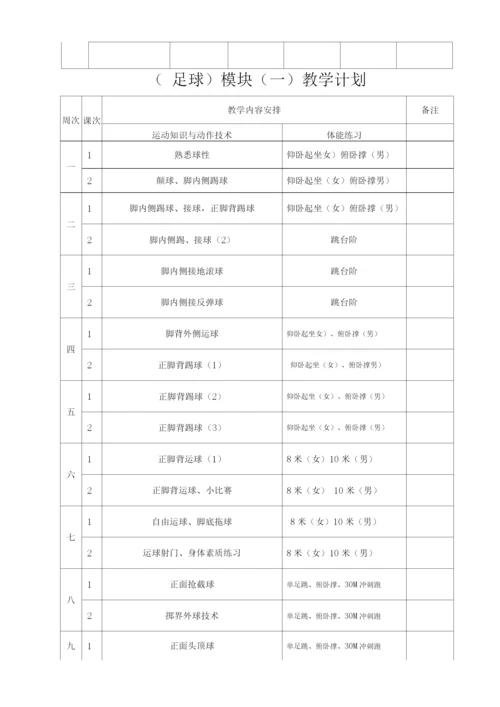 高中足球模块教学教案本.docx