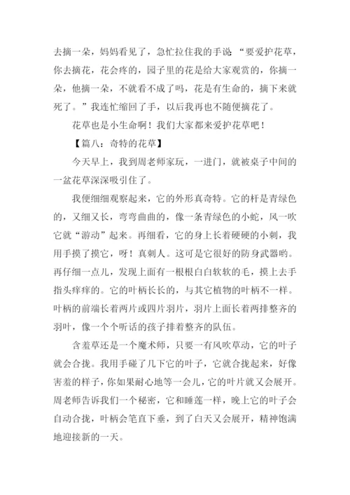 花草作文400字0.docx