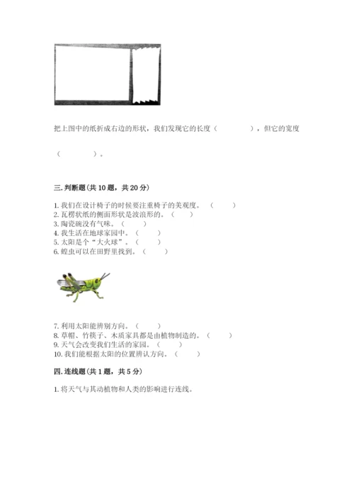 教科版科学二年级上册期末测试卷（考点精练）.docx