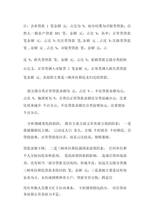 贷款风险五级分类总结报告