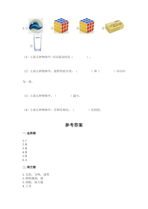 教科版一年级下册科学期末测试卷附参考答案ab卷.docx