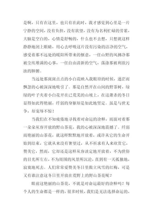 春天的山茶花作文600字.docx