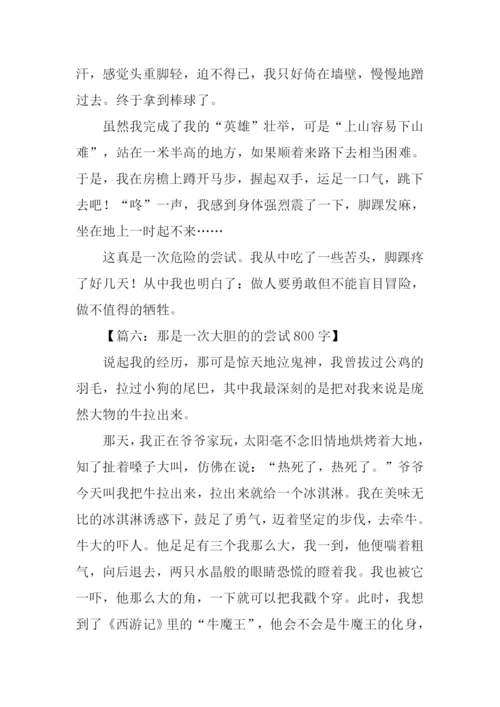 一次的尝试作文-1.docx
