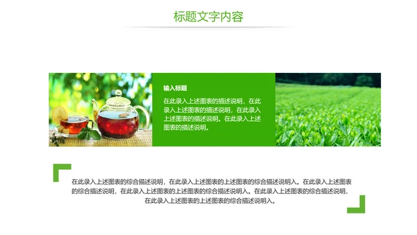 唯美绿色茶园茶文化品茶论道PPT模板