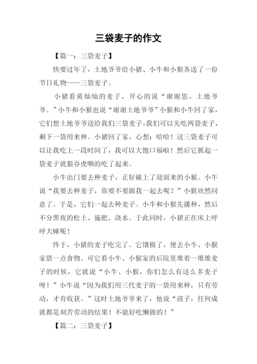 三袋麦子的作文.docx
