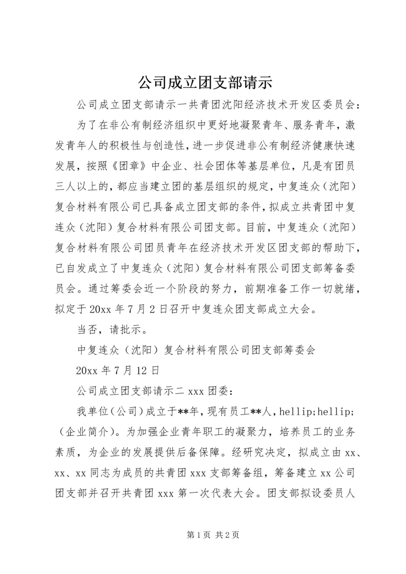 公司成立团支部请示.docx