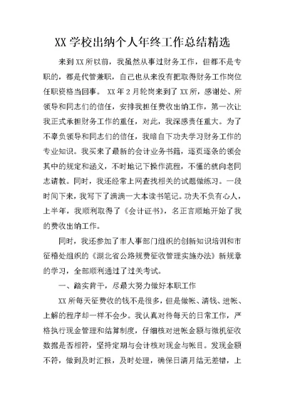 XX学校出纳个人年终工作总结精选