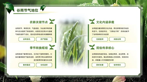 绿色系传统文化二十四节气谷雨主题PPT模板