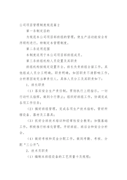 公司项目管理制度规范篇1.docx