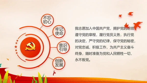 红领巾心向党少先队员风采展示PPT