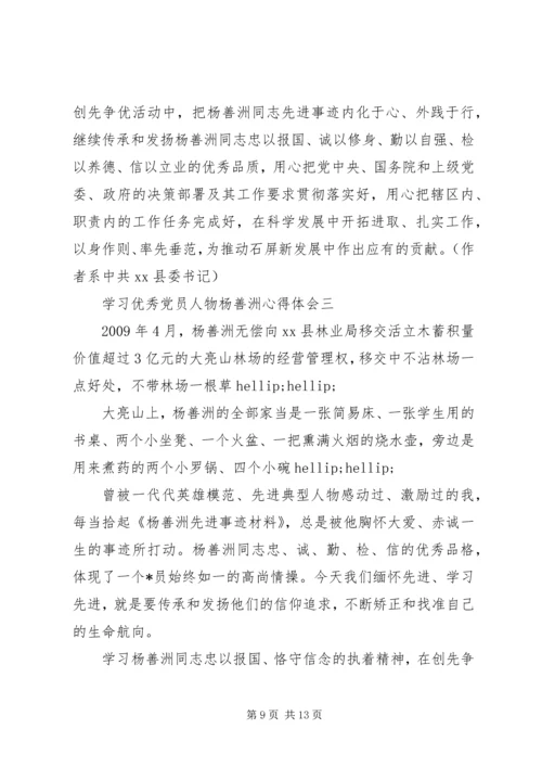 学习优秀党员人物杨善洲心得体会.docx