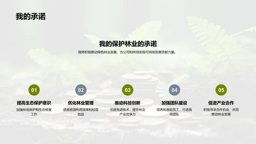 绿色林业新篇章