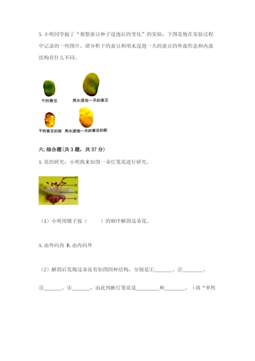 教科版四年级下册科学第一单元《植物的生长变化》测试卷【各地真题】.docx