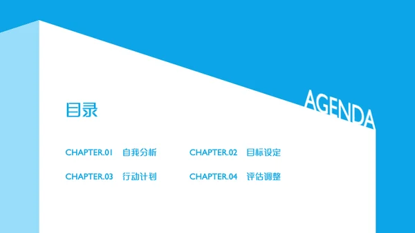 蓝白几何简约风职业规划书
