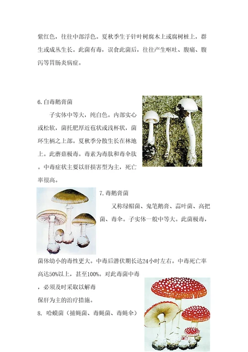 营养膳食指导宣传