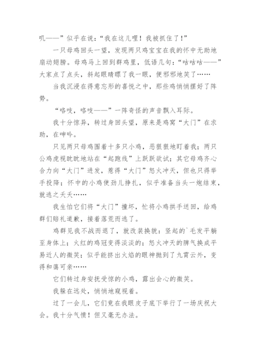 描写小鸡的作文.docx