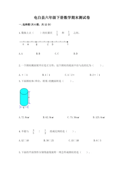 电白县六年级下册数学期末测试卷及精品答案.docx