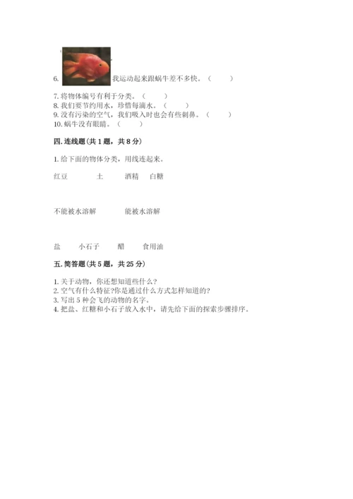 教科版一年级下册科学期末测试卷附参考答案【轻巧夺冠】.docx