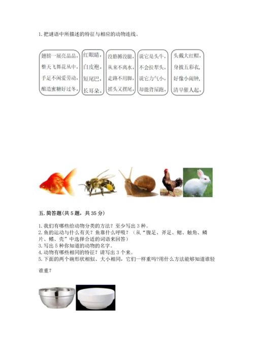 教科版一年级下册科学期末测试卷附答案【考试直接用】.docx