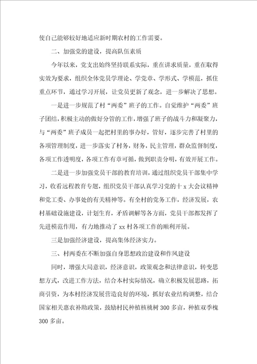 农村党支部书记述职报告精选范文