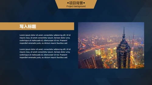 轻奢质感逼格创业计划书通用PPT模版