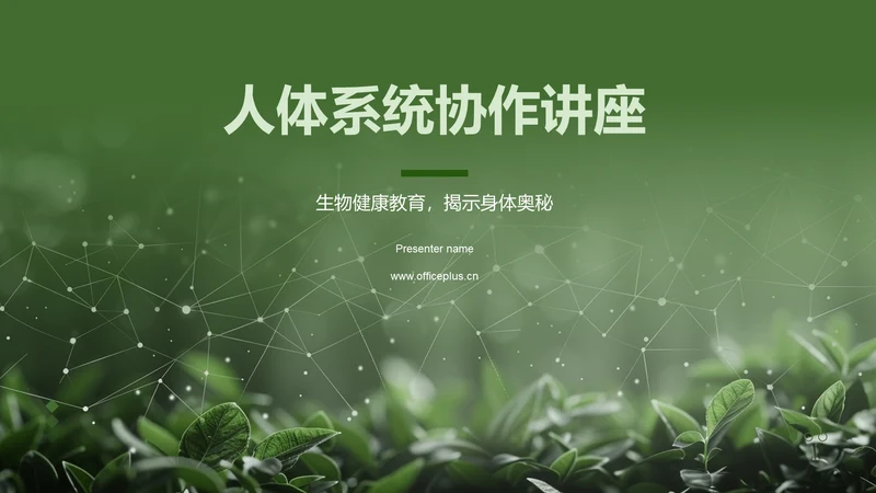 人体系统协作讲座PPT模板