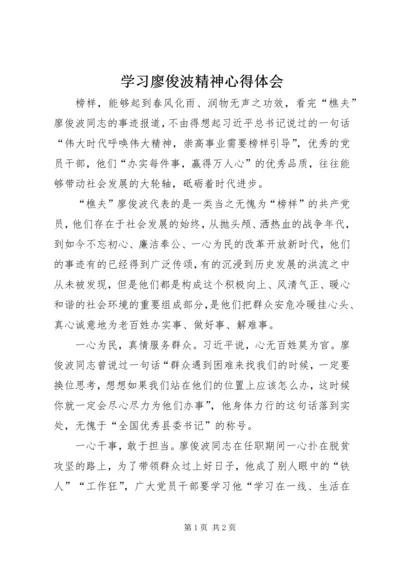 学习廖俊波精神心得体会 (3).docx