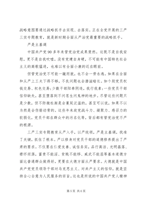 关于三严三实第三专题研讨优秀讲话稿.docx