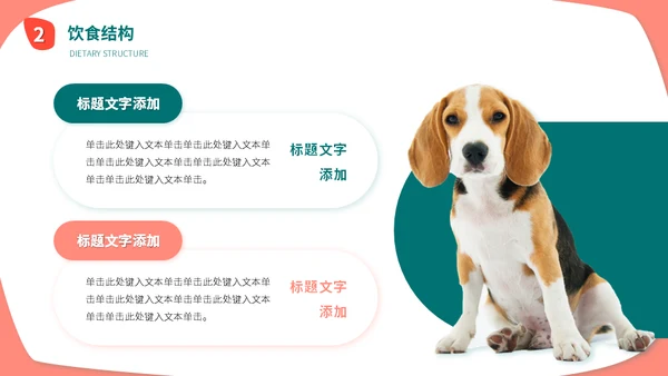 宠物店猫狗饲养心得经验分享通用PPT模板