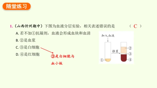 4.4.1流动的组织——血液-七年级生物下学期同步精品课件（2024人教版）(共38张PPT)