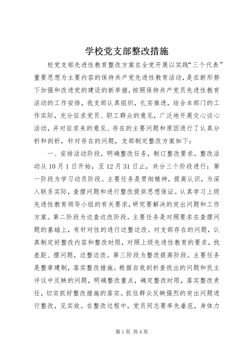 学校党支部整改措施 (5).docx
