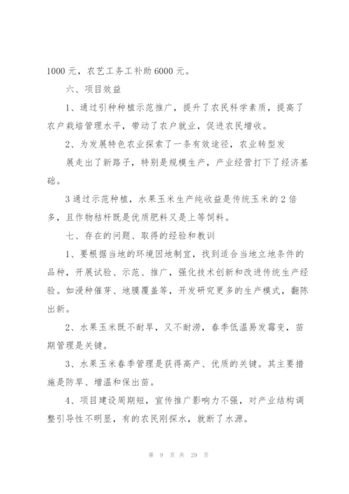 项目技术工作总结(多篇).docx