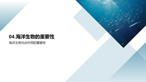 深海神秘：海洋生物揭秘