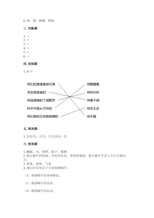 教科版一年级下册科学期末测试卷精品（模拟题）.docx