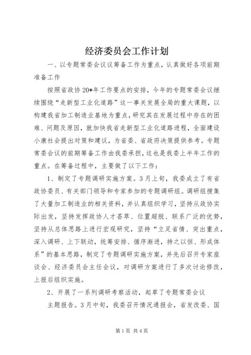 经济委员会工作计划.docx