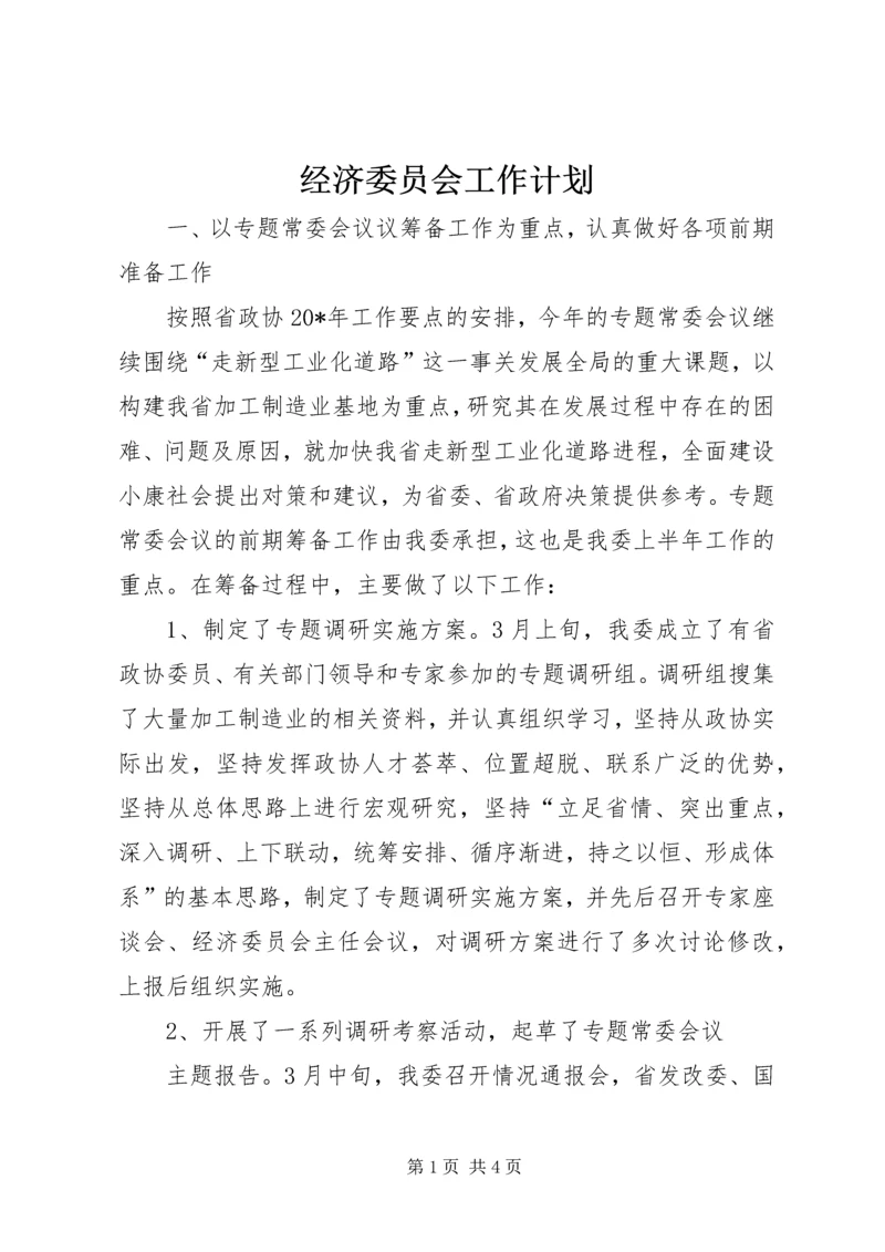 经济委员会工作计划.docx