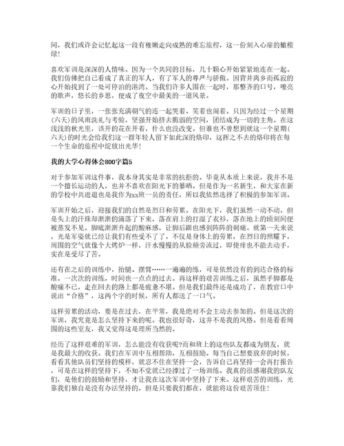 我的大学心得体会800字5篇