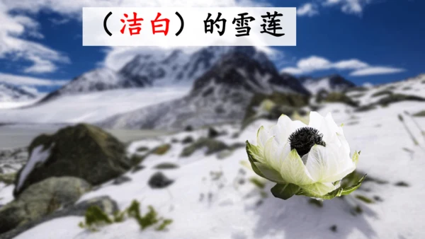 3 我多想去看看（课件）