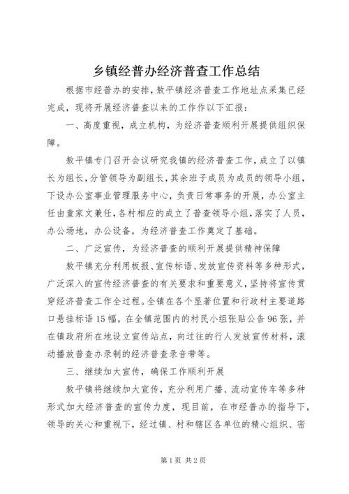 乡镇经普办经济普查工作总结.docx