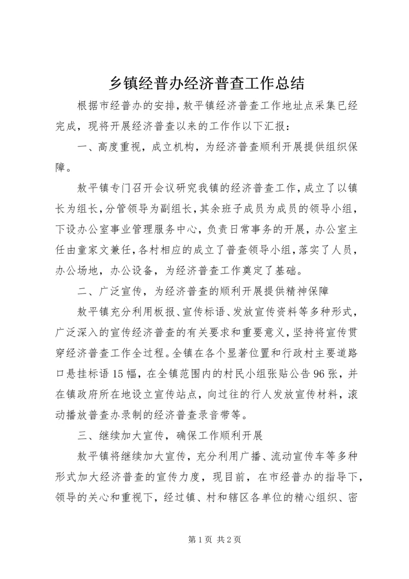 乡镇经普办经济普查工作总结.docx