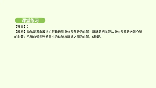 第四单元-第四章-第二节-血流的管道——血管课件-2024-2025学年七年级生物下学期人教版(20