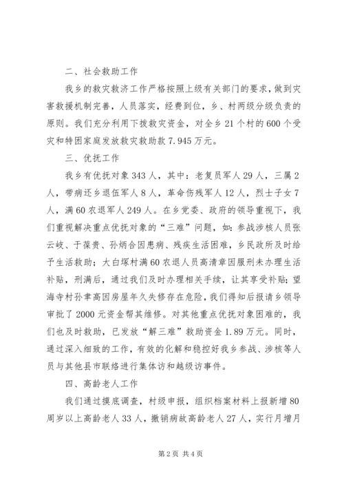 乡镇民政所年度工作总结及工作安排.docx