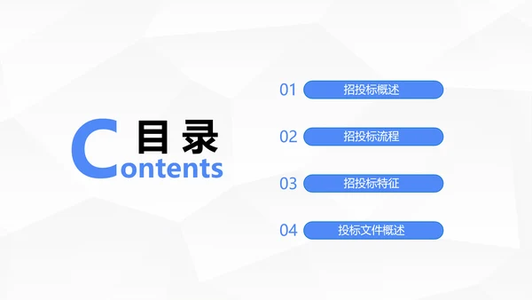 企业商务局招投标知识培训ppt模板