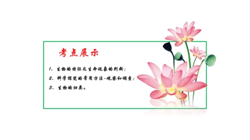 1.1 认识生物 2023-2024学年七年级生物上学期期末考点大串讲（人教版）(共19张PPT)
