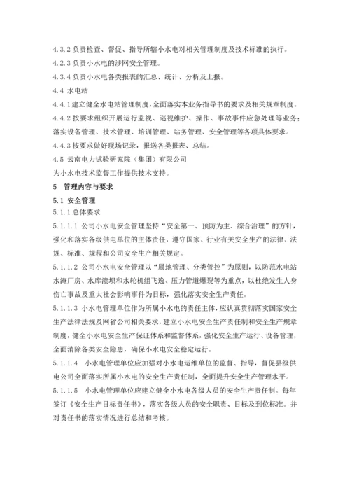 电网有限责任公司小水电站安全生产管理业务指导书.docx