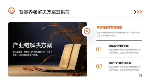 橙色商务风智慧养老商业计划书PPT模板