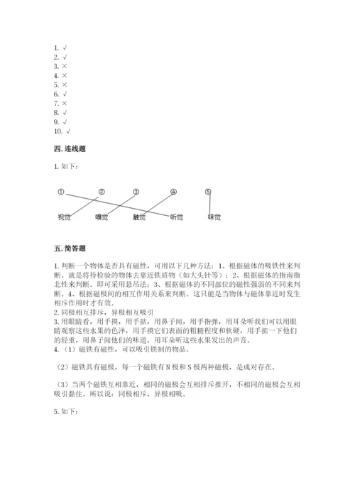 教科版小学科学二年级下册 期末测试卷及1套完整答案.docx