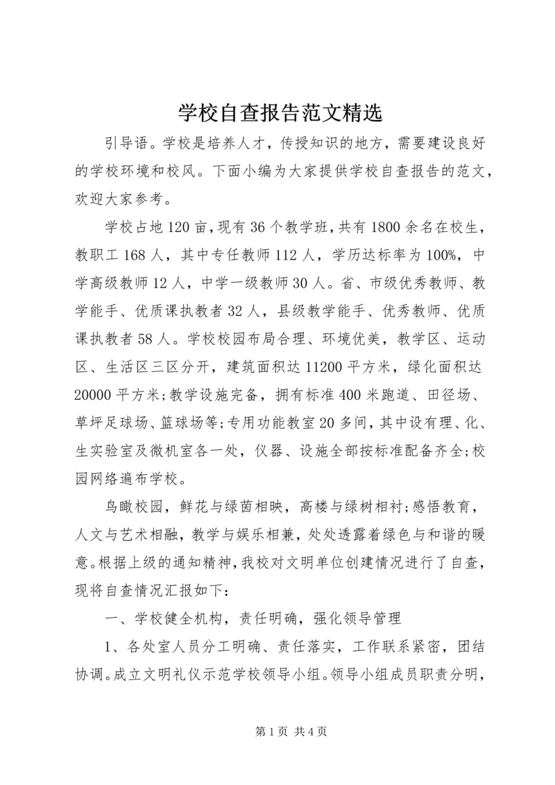 学校自查报告范文精选.docx