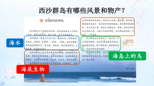18.富饶的西沙群岛   课件